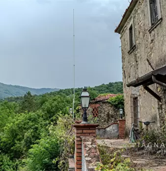 Foto annuncio 8