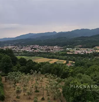 Foto annuncio 4
