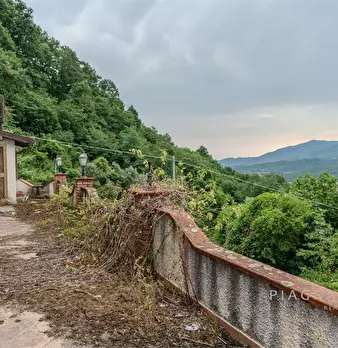 Foto annuncio 6
