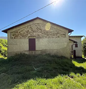 Foto annuncio 6