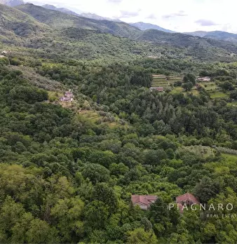 Foto annuncio 2