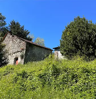Foto annuncio 10