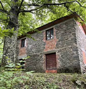 Foto annuncio 1