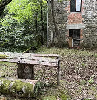 Foto annuncio 4