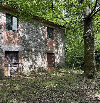 Foto annuncio 9