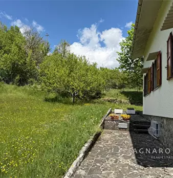 Foto annuncio 9
