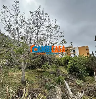 Foto annuncio 4