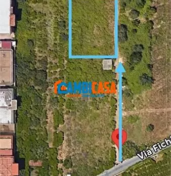 Foto annuncio 8
