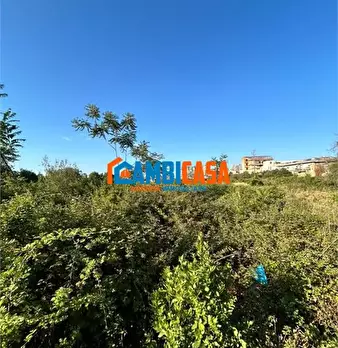 Foto annuncio 5