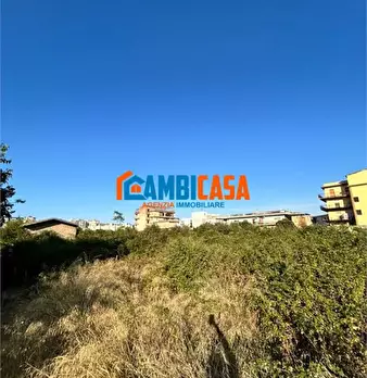 Foto annuncio 5