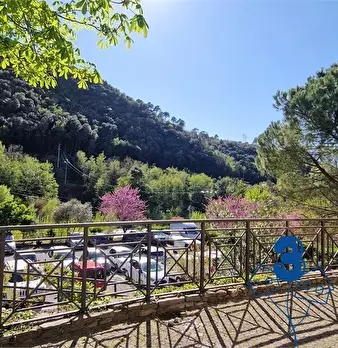 Foto annuncio 3