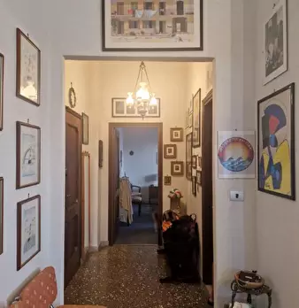 Foto annuncio 10