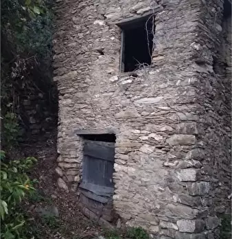 Foto annuncio 7