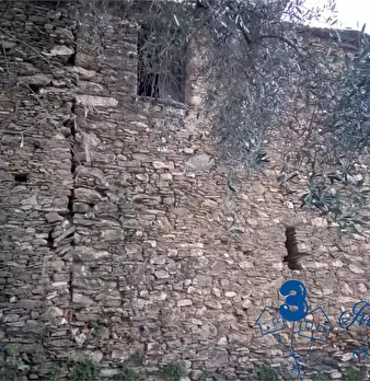 Foto annuncio 6