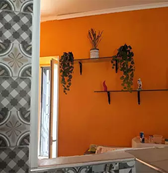 Foto annuncio 10