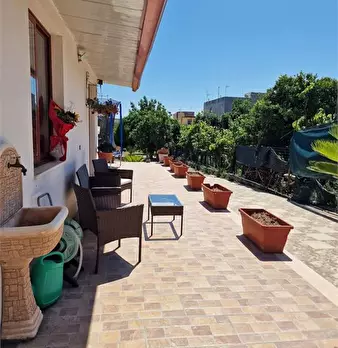 Foto annuncio 9