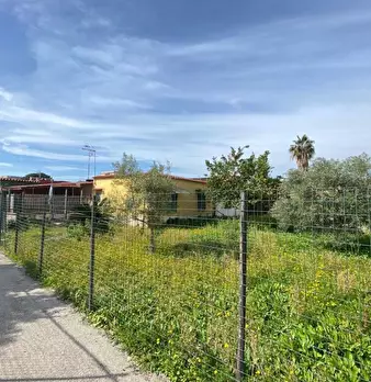 Foto annuncio 9