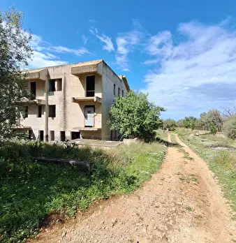 Foto annuncio 9