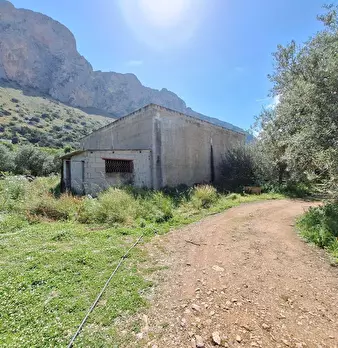Foto annuncio 7