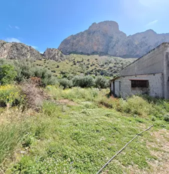 Foto annuncio 8