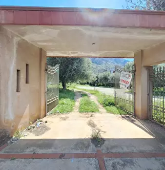 Foto annuncio 5