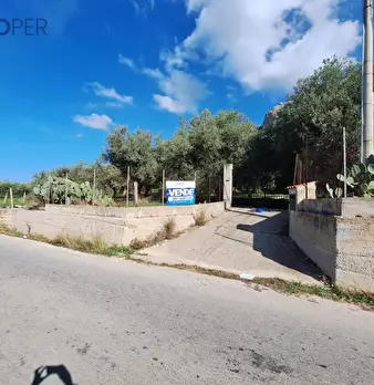 Foto annuncio 10