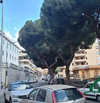 Foto annuncio 7