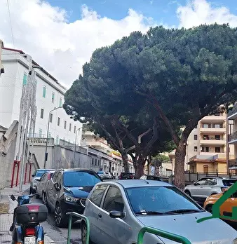 Foto annuncio 5