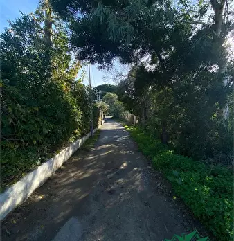 Foto annuncio 7