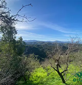 Foto annuncio 8