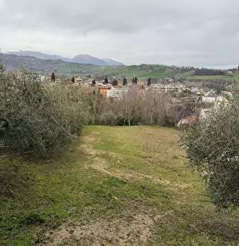 Foto annuncio 8