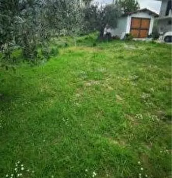 Foto annuncio 5