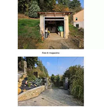 Foto annuncio 7