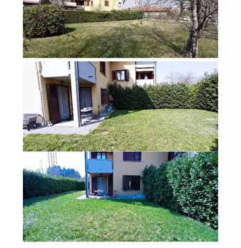 Foto annuncio 7