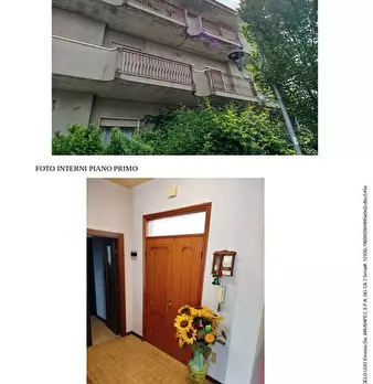 Foto annuncio 5