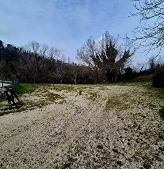 Foto annuncio 6