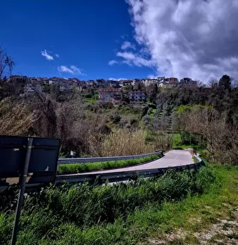 Foto annuncio 5