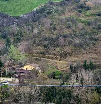 Foto annuncio 4