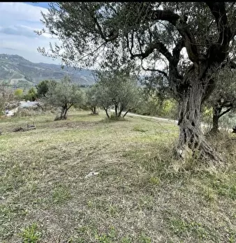 Foto annuncio 7