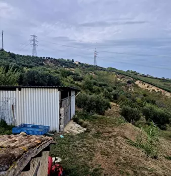 Foto annuncio 8