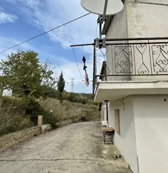 Foto annuncio 6