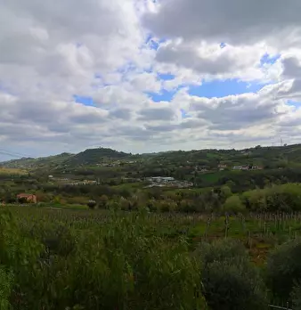 Foto annuncio 8