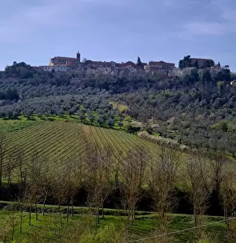 Foto annuncio 7