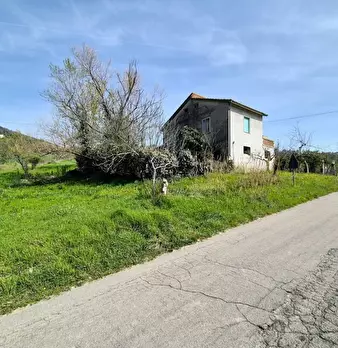 Foto annuncio 3