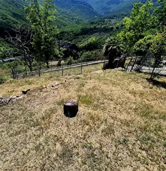 Foto annuncio 5