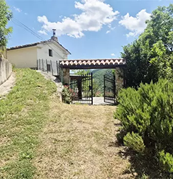 Foto annuncio 7