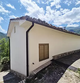 Foto annuncio 10