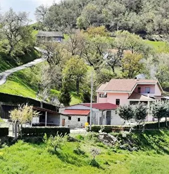 Foto annuncio 1
