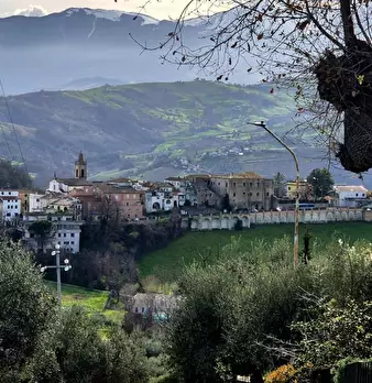 Foto annuncio 2