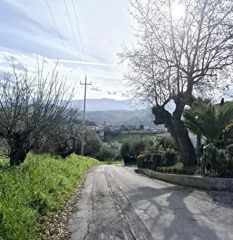 Foto annuncio 8
